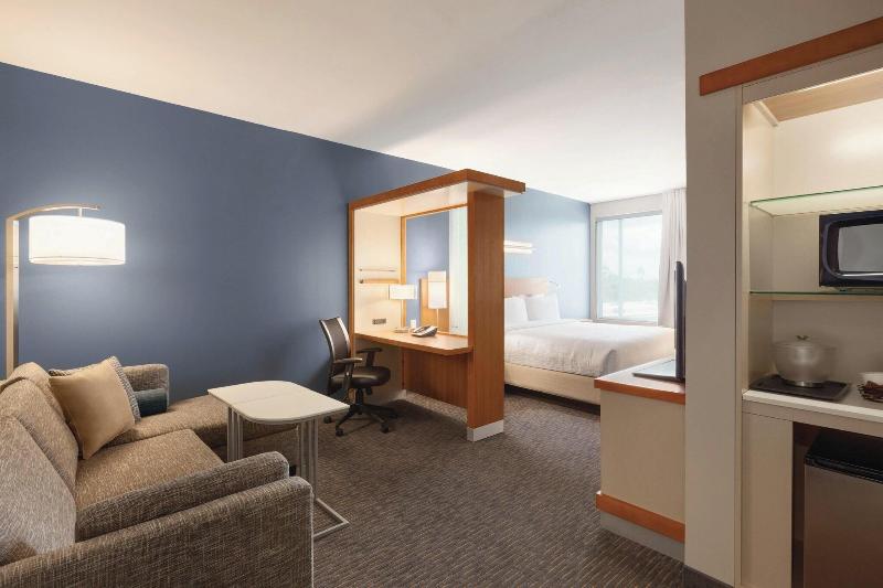 带大床的套房, Springhill Suites By Marriott Houston Northwest