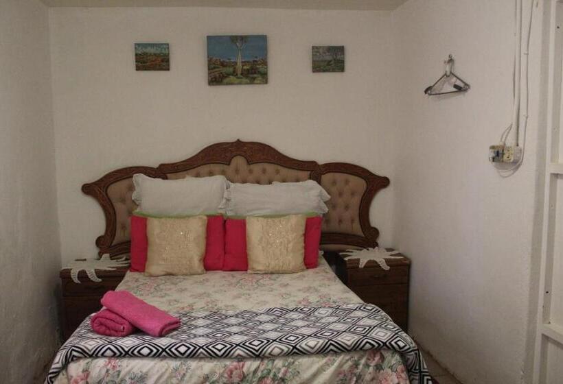 Семейный Номер, Hollywood Lodge