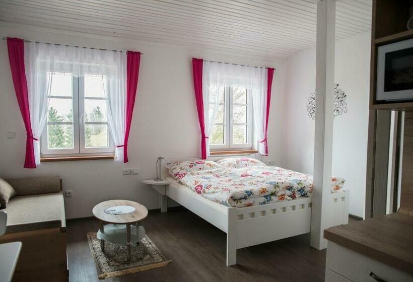Номер Deluxe, Penzion U červené Podkovy