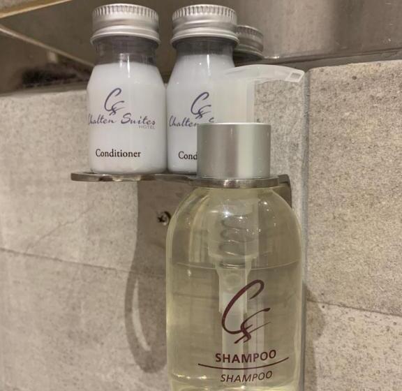 اتاق استاندارد, Chalten Suites