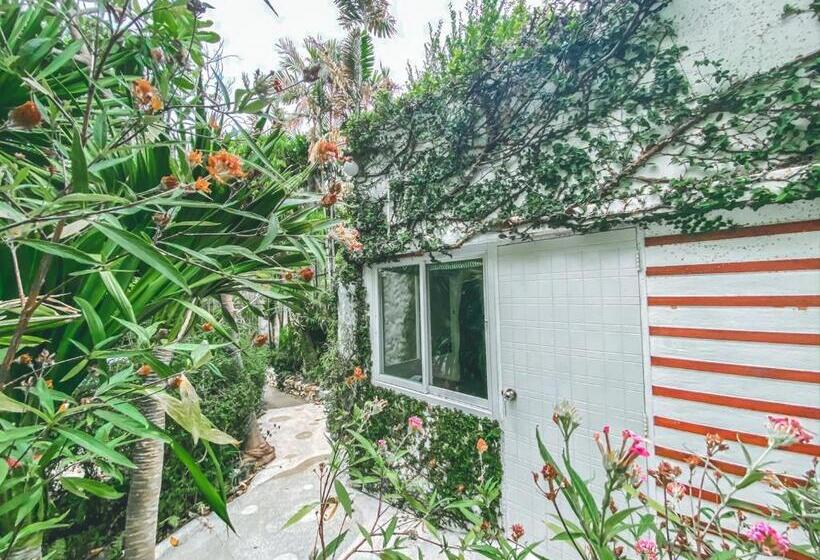 استودیو استاندارد با چشم‌انداز باغ, Nern Chalet Beachfront