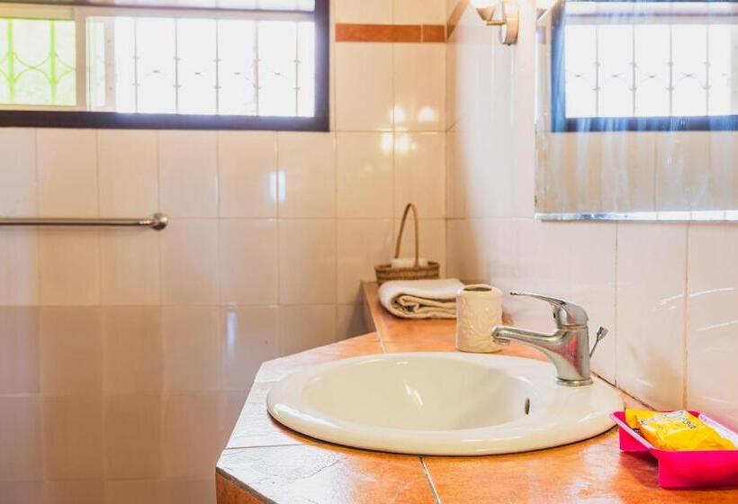 استودیوی سوپریور, Aparthotel Jardin Tropical
