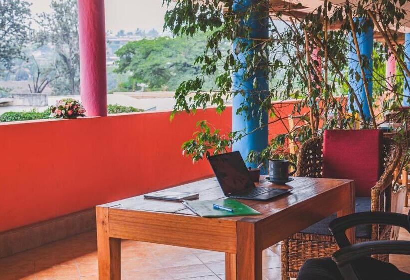 استودیوی سوپریور, Aparthotel Jardin Tropical