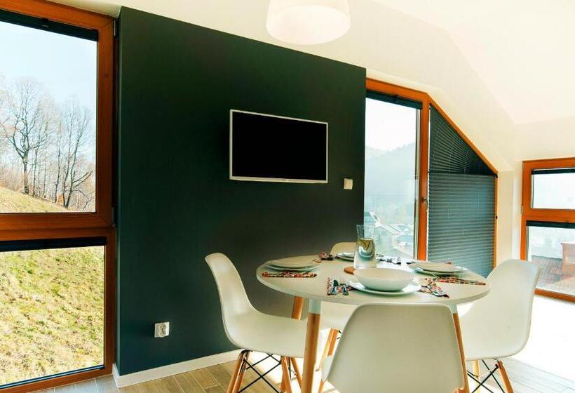 آپارتمان 1 خوابه با چشم‌انداز, Apartamenty Willowa