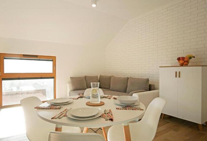 آپارتمان 1 خوابه با چشم‌انداز, Apartamenty Willowa