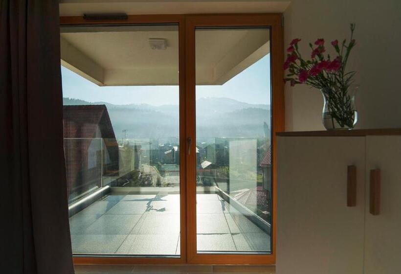 آپارتمان 1 خوابه با چشم‌انداز, Apartamenty Willowa