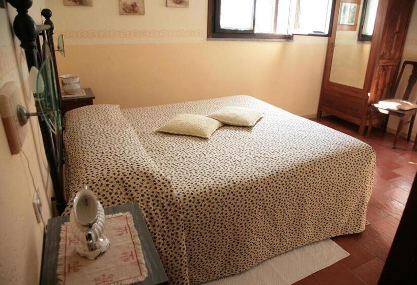 اتاق اکونومی, Malvarina