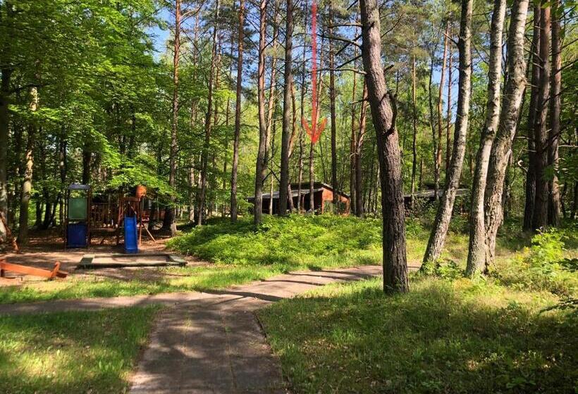 Бунгало Стандарт, Leśnik Bungalow Stegna   Domki Letniskowe Nad Morzem