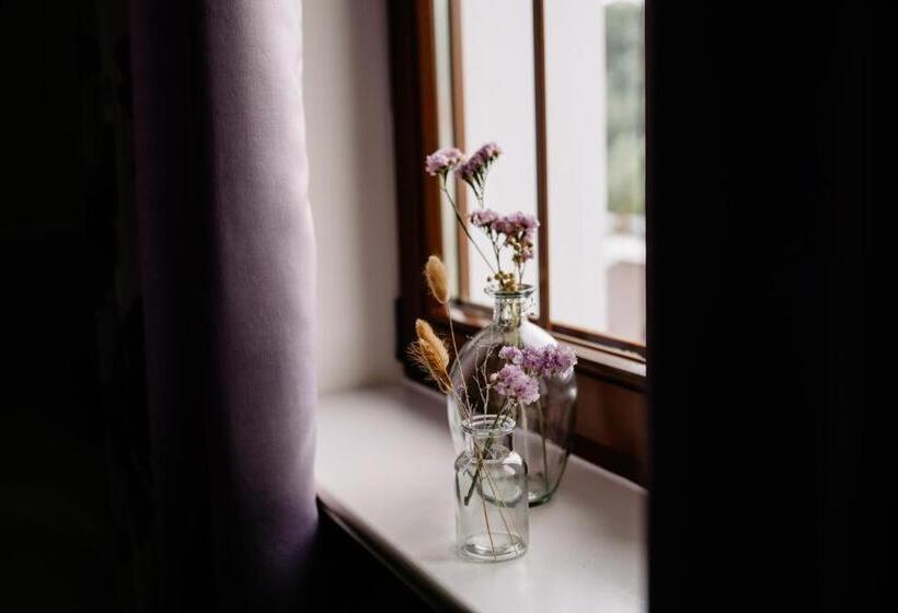 اتاق استاندارد یک نفره, Willa Brygida Spa