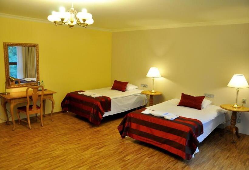 Номер Deluxe, Mir Jan Spa