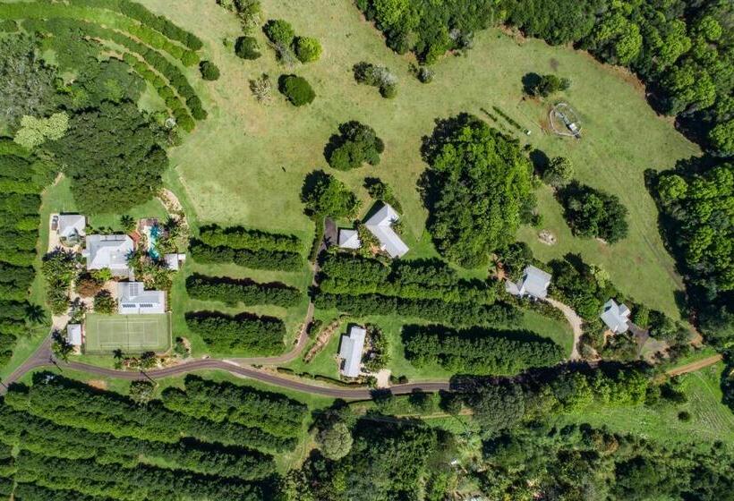 Вилла 3 Спальни, Byron Hinterland Villas