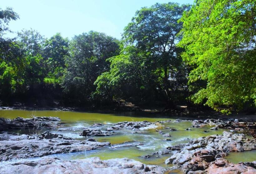 سوییت خانوادگی, Sunwin River