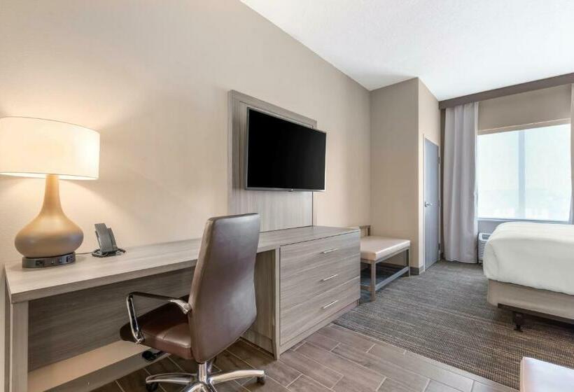 سوئیت با تخت بزرگ, Pestana Orlando Suites   Lake Buena Vista