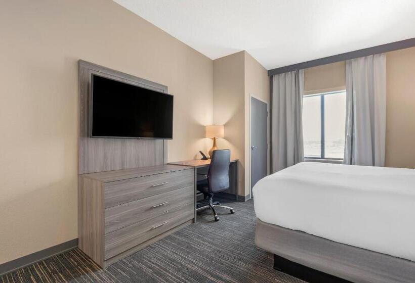 اتاق استاندارد با تخت بزرگ, Pestana Orlando Suites   Lake Buena Vista