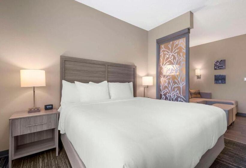 سوئیت با تخت بزرگ, Pestana Orlando Suites   Lake Buena Vista