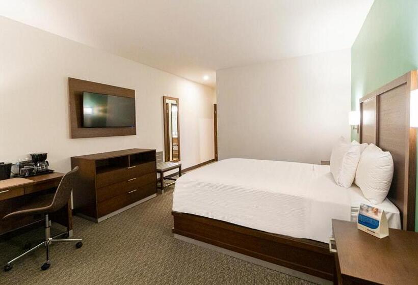 اتاق استاندارد اینتریور, Comfort Inn Ciudad Juarez