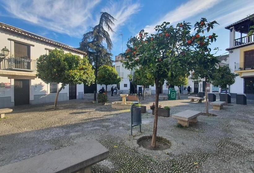 آپارتمان 1 خوابه همکف, Casa Morena Mia Apartamentos