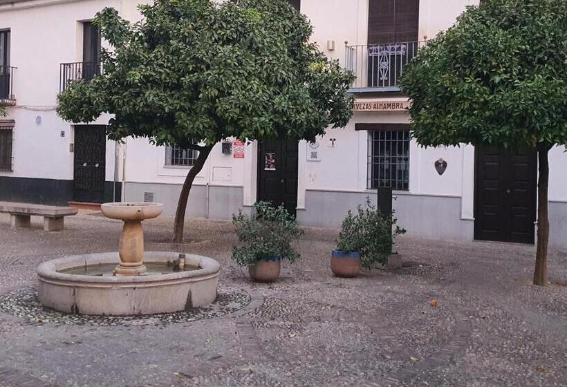 استودیوی استاندارد, Casa Morena Mia Apartamentos
