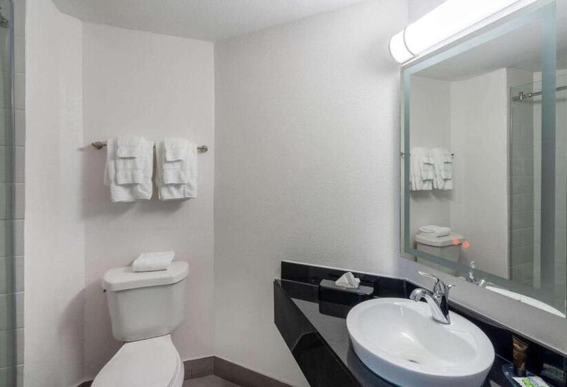 Стандартный Номер Кровать Кинг, Wingate By Wyndham Horn Lake Southaven