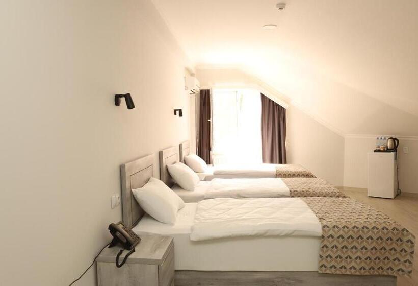 اتاق استاندارد سه نفره, Aventus