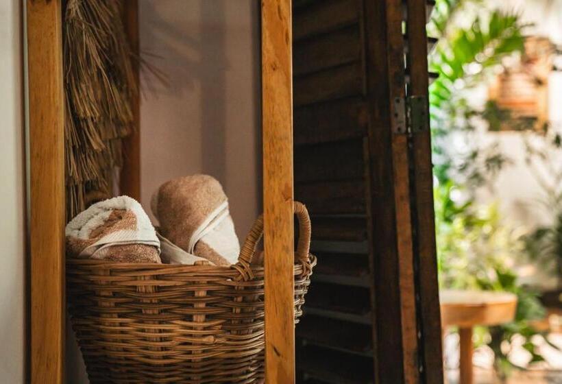 Люкс с Террасой, Casa Chula Hotel Boutique Frente Al Mar