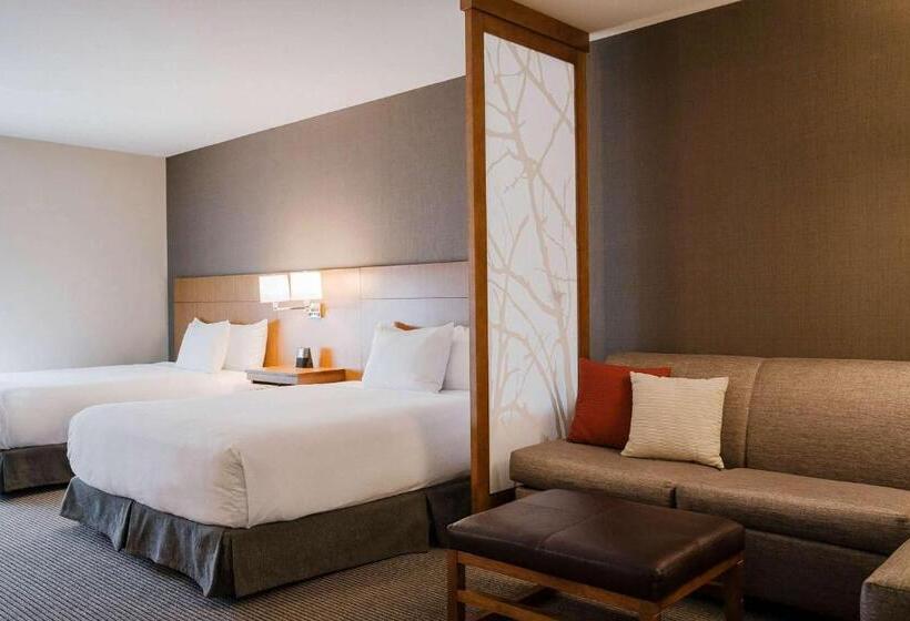 Номер Стандарт Верхний Этаж, Hyatt Place Buffalo / Amherst, Ny