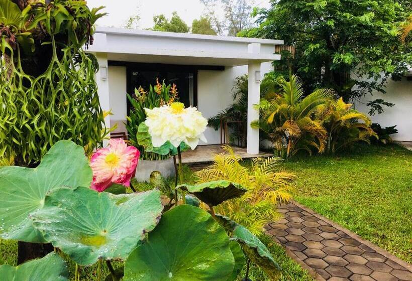 بانگلوی لوکس, Sahaa Beach Resort