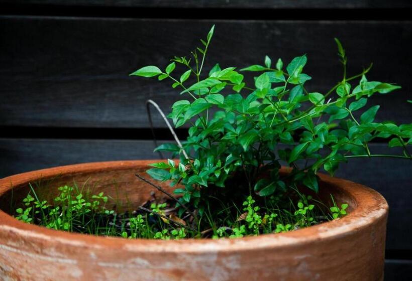 Вилла 1 Спальня, Perricoota Vines Retreat