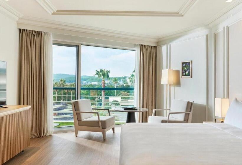 Номер Deluxe Кровать Кинг с Видом, Grand Josun Jeju