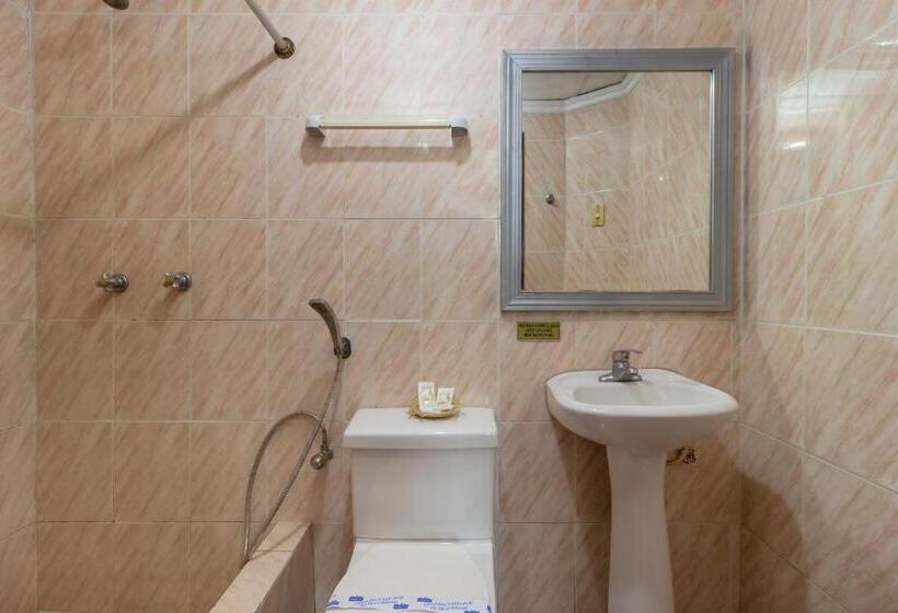 Номер Стандарт Трехместный, Malecon Inn