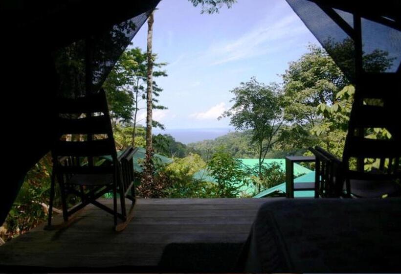 Standard Tent, Luna Lodge