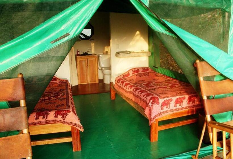 Standard Tent, Luna Lodge