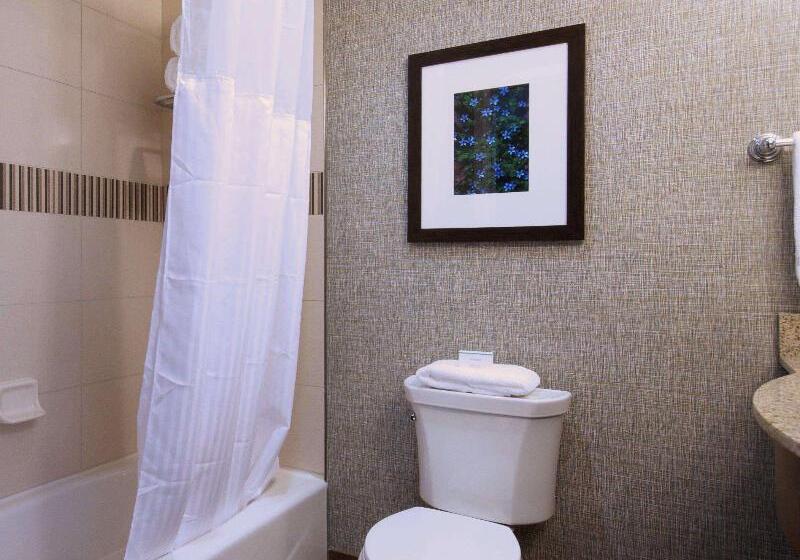 带大床的套房, Hilton Garden Inn Hickory