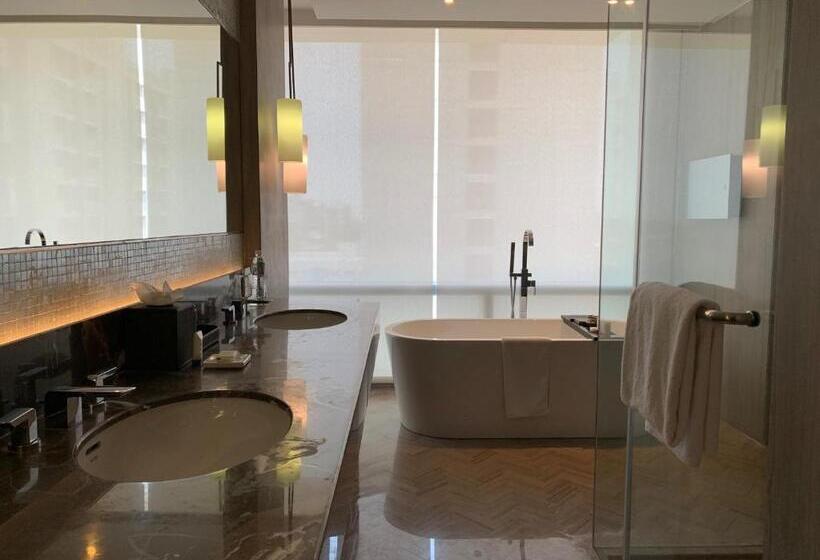 سوییت, Hyatt Regency Ahmedabad