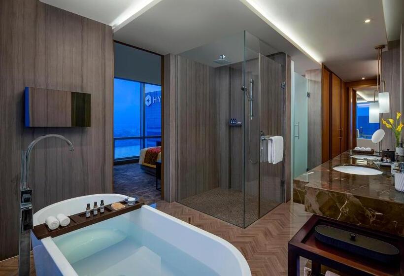سوییت, Hyatt Regency Ahmedabad