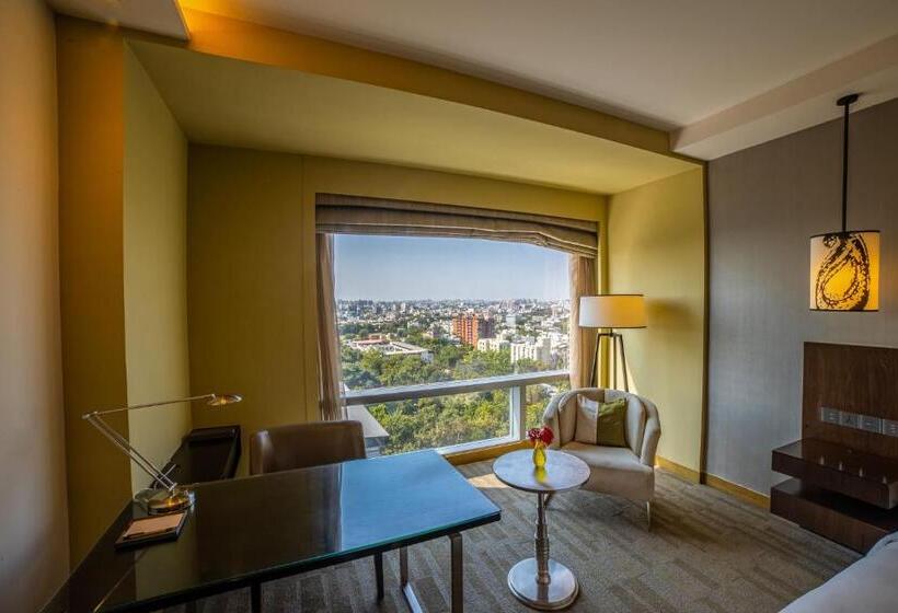 اتاق استاندارد با تخت بزرگ, Hyatt Regency Ahmedabad