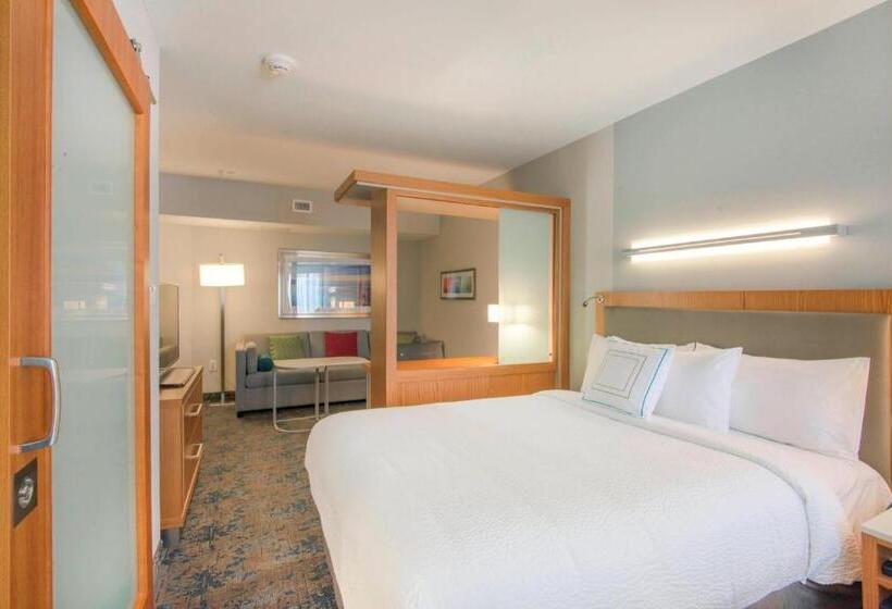 Люкс Кровать Кинг, Springhill Suites By Marriott Wilmington Wrightsville Beach