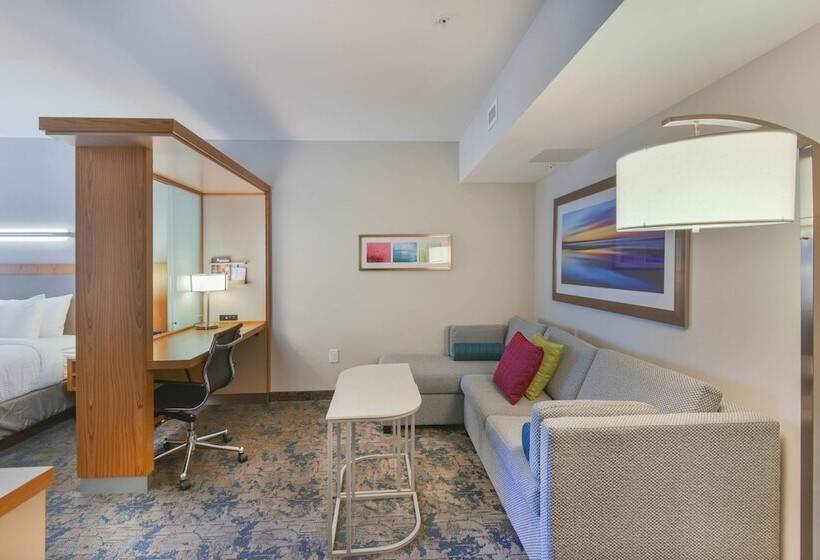 Люкс, Springhill Suites By Marriott Wilmington Wrightsville Beach