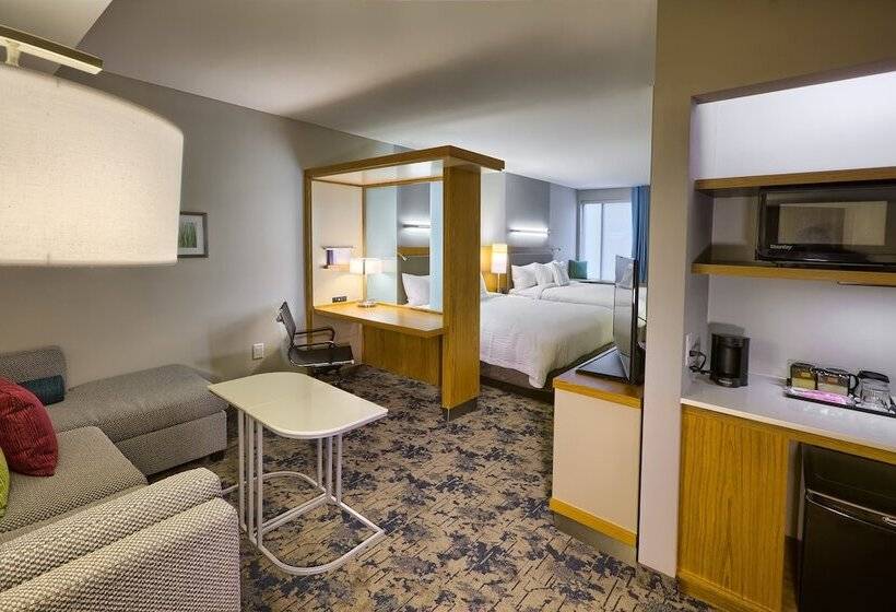 Люкс, Springhill Suites By Marriott Wilmington Wrightsville Beach