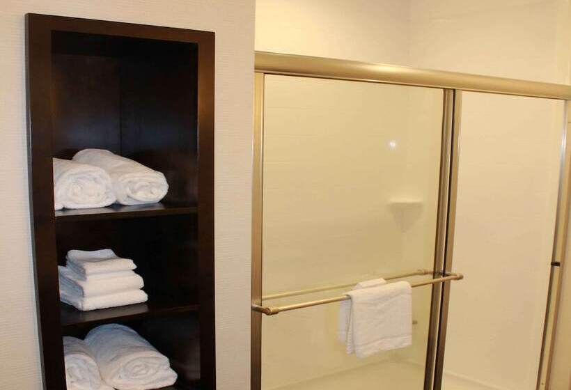 스탠다드 룸 킹사이즈 침대, Hampton Inn & Suites Stroudsburg Pocono Mountains