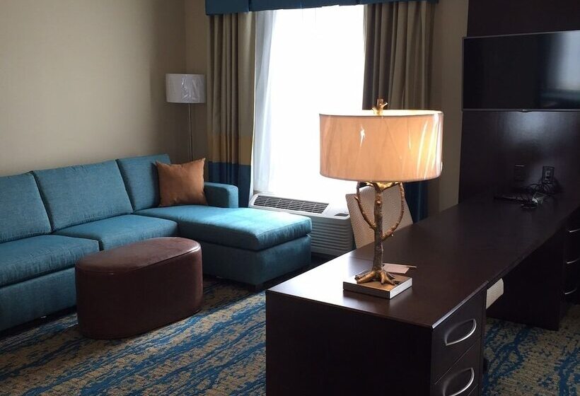스탠다드 스튜디오 킹침대, Hampton Inn & Suites Stroudsburg Pocono Mountains