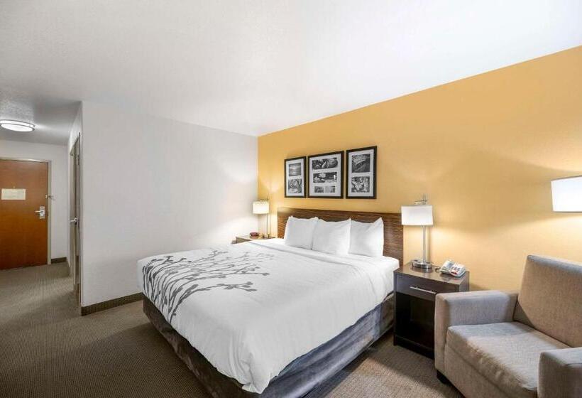 带大床的标准间, Sleep Inn & Suites Carlsbad Caverns Area
