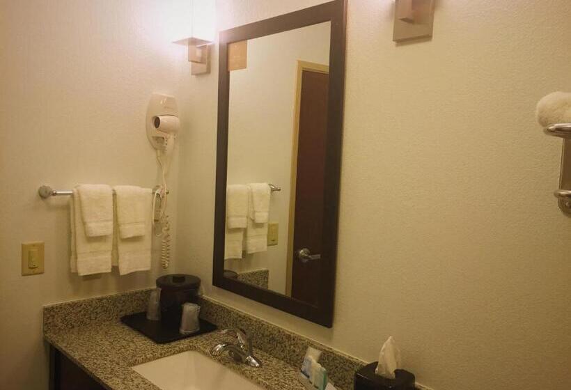 Номер Стандарт 2 Двуспальные Кровати, Sleep Inn & Suites Carlsbad Caverns Area