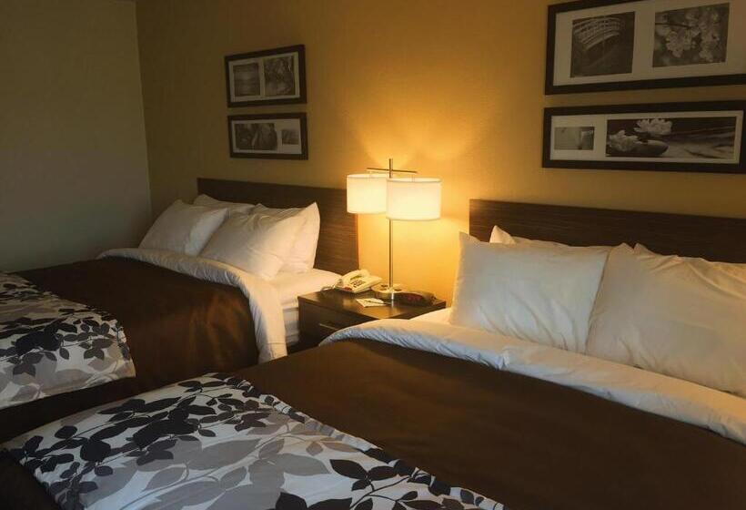 带2个双人床的标准工作室, Sleep Inn & Suites Carlsbad Caverns Area