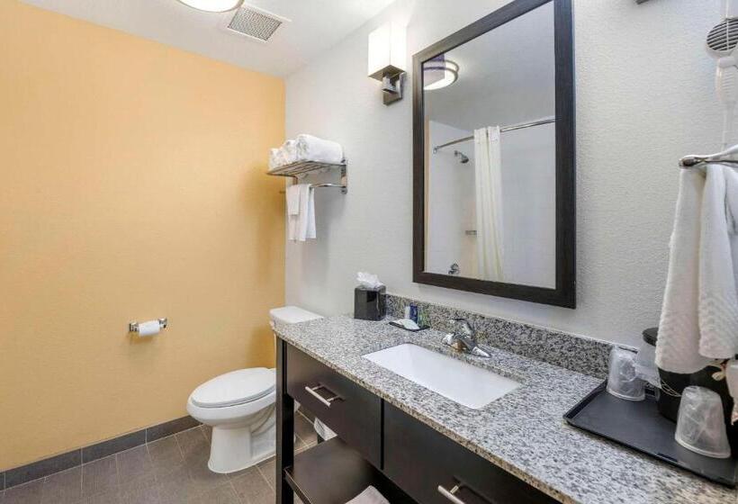 Номер Стандарт 2 Двуспальные Кровати, Sleep Inn & Suites Carlsbad Caverns Area