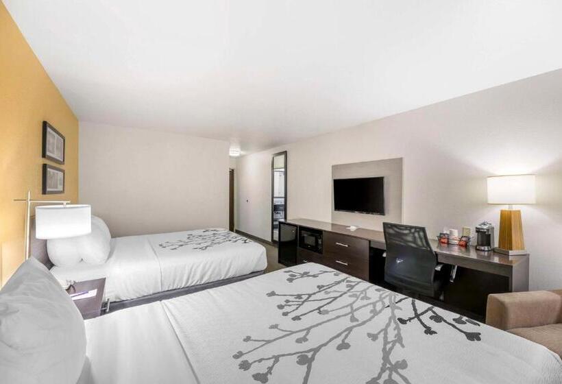 带2个双人床的标准工作室, Sleep Inn & Suites Carlsbad Caverns Area