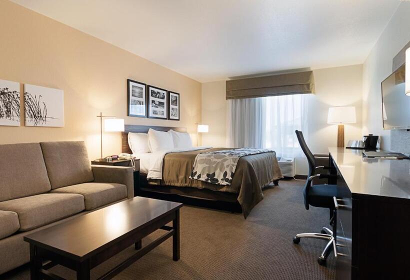 Люкс Кровать Кинг, Sleep Inn & Suites Carlsbad Caverns Area