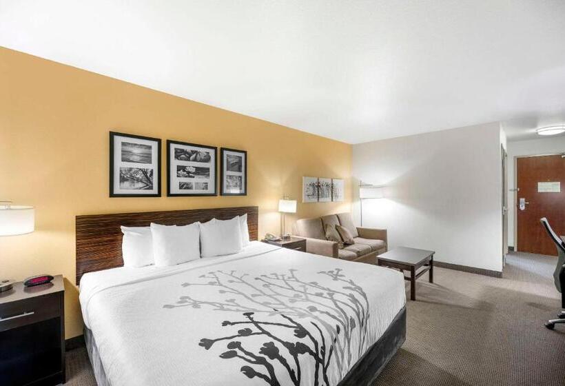 מיטת קינג בסוויטה, Sleep Inn & Suites Carlsbad Caverns Area