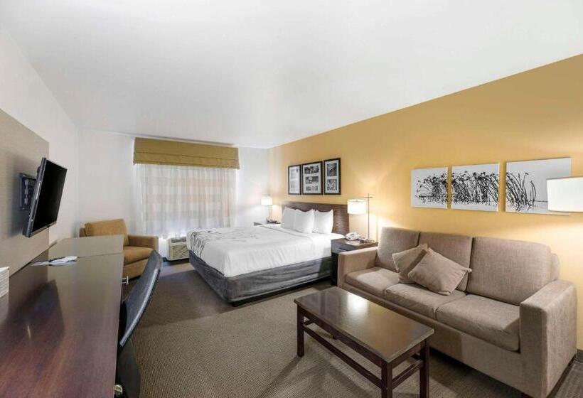 Люкс Кровать Кинг, Sleep Inn & Suites Carlsbad Caverns Area