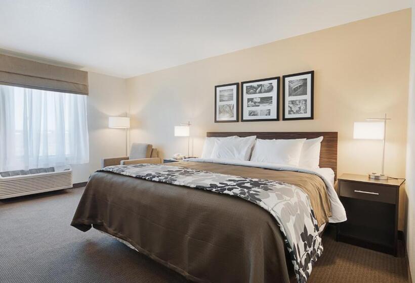 Номер Стандарт, Sleep Inn & Suites Carlsbad Caverns Area